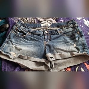Torrid shorts 14